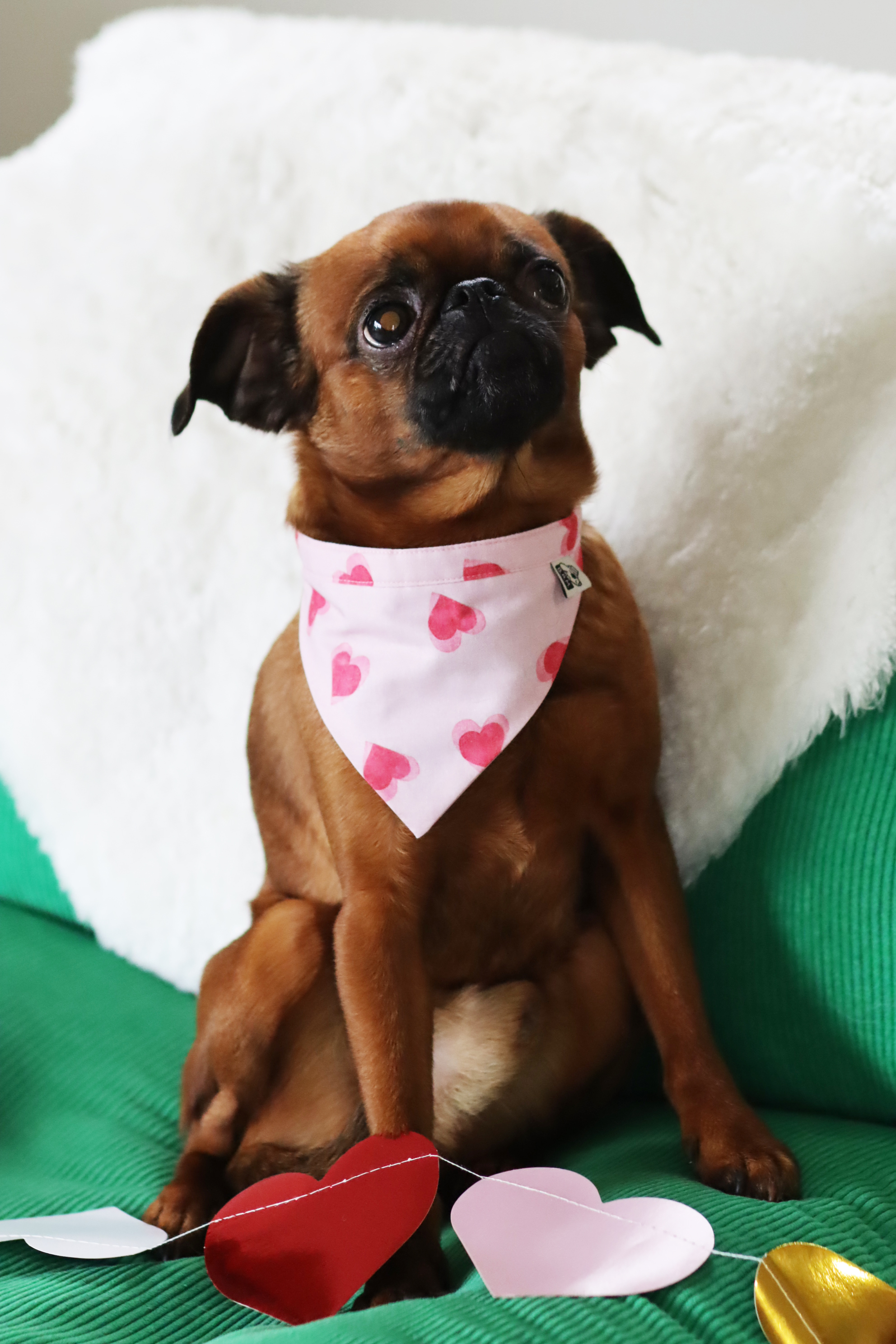 Bandana Darling